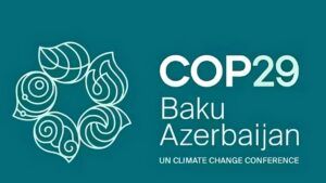 Lee más sobre el artículo Tras la Cumbre de la Biodiversidad en Cali, ¿qué esperar de la COP 29, la próxima Cumbre del Clima en Bakú?