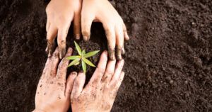 Lee más sobre el artículo I encuentro de Ecología Integral
