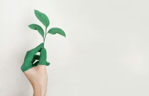 Lee más sobre el artículo ¿Energía verde a cualquier costo? La enseñanza social de la Iglesia propone una transición que no olvide a los pobres.