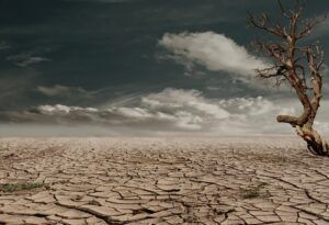 Lee más sobre el artículo 2025: tercer año más cálido del registro y signo epocal para la teología de la creación