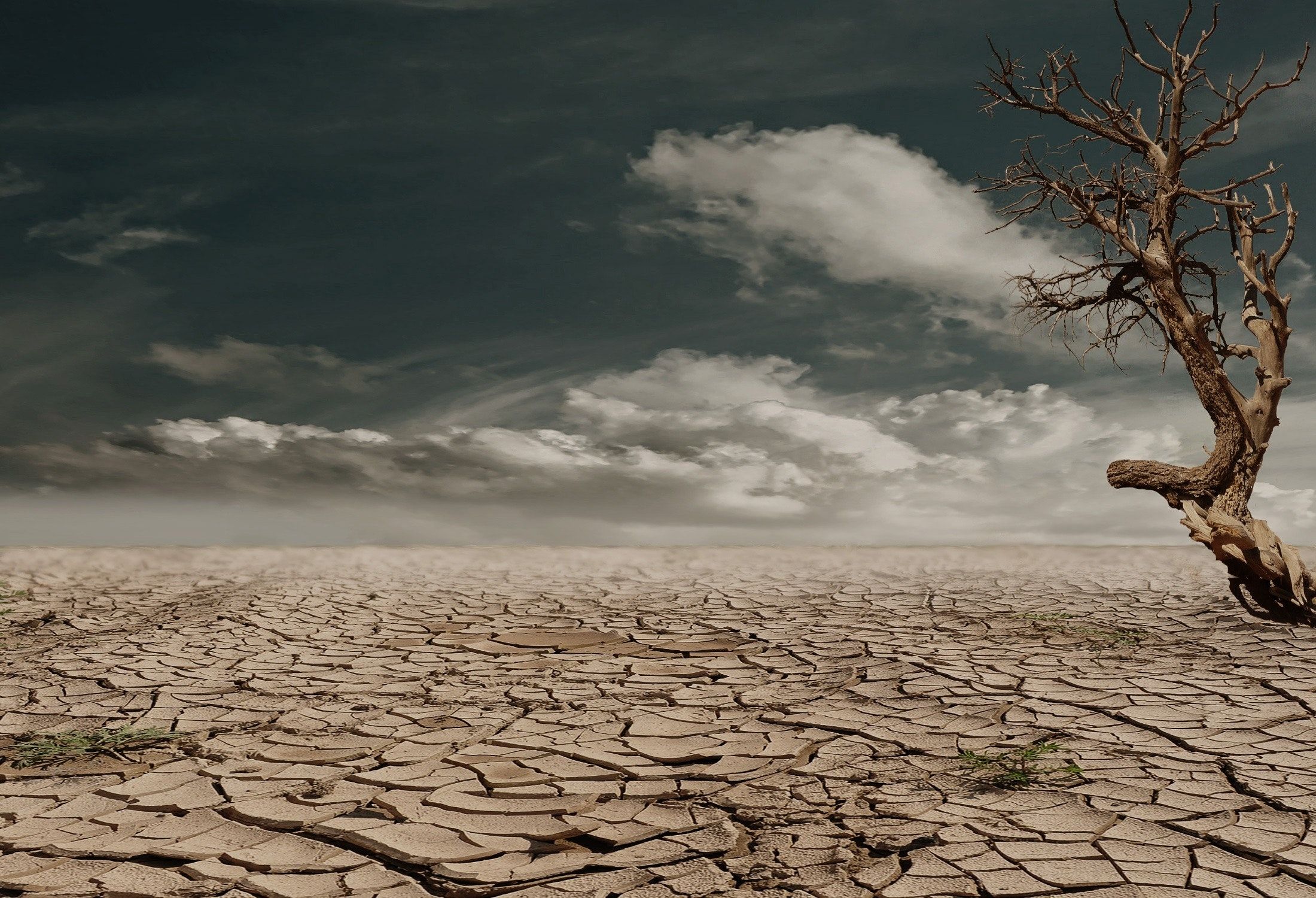 En este momento estás viendo 2025: tercer año más cálido del registro y signo epocal para la teología de la creación