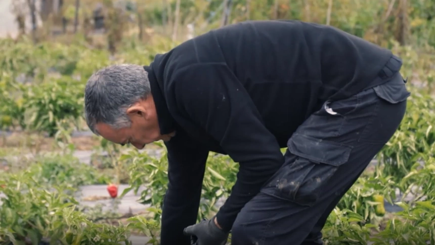 En este momento estás viendo Semana Laudato Si’: La historia de la huerta de Guillermo